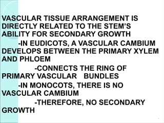 VASCULAR TISSUE ARRANGEMENT IS
DIRECTLY RELATED TO THE STEM’S
ABILITY FOR SECONDARY GROWTH
-IN EUDICOTS, A VASCULAR CAMBIUM
DEVELOPS BETWEEN THE PRIMARY XYLEM
AND PHLOEM
-CONNECTS THE RING OF
PRIMARY VASCULAR BUNDLES
-IN MONOCOTS, THERE IS NO
VASCULAR CAMBIUM
-THEREFORE, NO SECONDARY
GROWTH
*
 