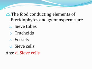 25.The food conducting elements of
Pteridophytes and gymnosperms are
a. Sieve tubes
b. Tracheids
c. Vessels
d. Sieve cells
Ans: d. Sieve cells
 