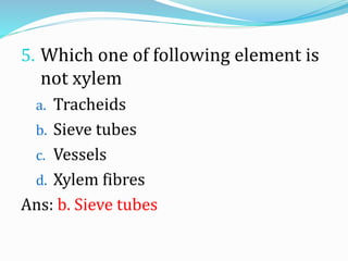 5. Which one of following element is
not xylem
a. Tracheids
b. Sieve tubes
c. Vessels
d. Xylem fibres
Ans: b. Sieve tubes
 