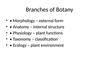 Plant_Anatomy_Morphology_Summary_Lecture for studying.pptx