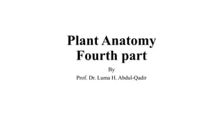 Plant Anatomy
Fourth part
By
Prof. Dr. Luma H. Abdul-Qadir
 