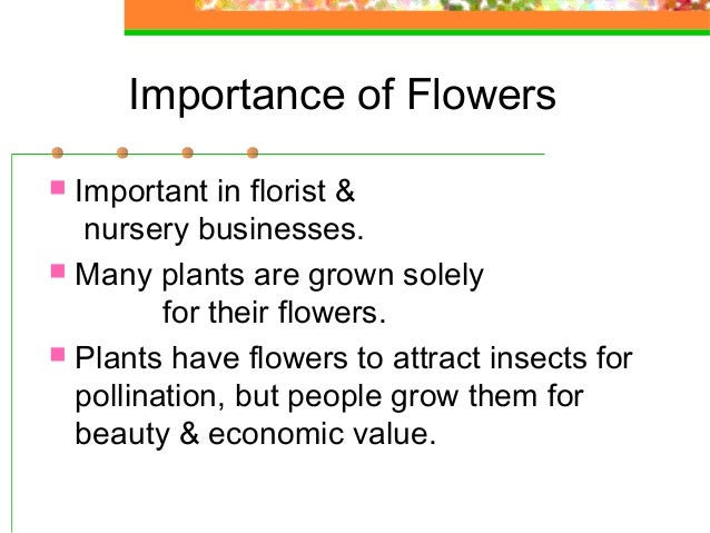 Plant anatomy  Plant anatomy
