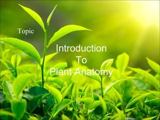 Introduction
To
Plant Anatomy
Topic
 