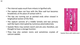 • The internal septa result from mitosis in lignified cells.
• The septum does not fuse with the fibre wall but becomes
broadened, at the place of contact with it.
• The tips are running out as pointed ends when viewed in
longitudinal section of the fibre.
• The septum consists of a middle lamella and two primary
wall-like layers interrupted by numerous plasmodesmata.
• Septate fibres may contain starch and oils and, therefore, are
thought to have a storage function.
• They may also contain resins and sometimes crystals of
calcium oxalate.
Septate fibres with radial canal
10
 