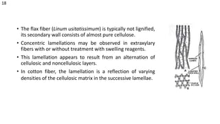 • The flax fiber (Linum usitatissimum) is typically not lignified,
its secondary wall consists of almost pure cellulose.
• Concentric lamellations may be observed in extraxylary
fibers with or without treatment with swelling reagents.
• This lamellation appears to result from an alternation of
cellulosic and noncellulosic layers.
• In cotton fiber, the lamellation is a reflection of varying
densities of the cellulosic matrix in the successive lamellae.
18
 