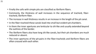 • Finally the cells with simple pits are classified as libriform fibers.
• Commonly, the thickness of wall increases in the sequence of tracheid, fiber-
tracheid, libriform fiber.
• The increase in wall thickness results in an increase in the length of the pit canal.
• In the fiber-tracheid these canals lead into small but evident pit chambers.
• In them the inner apertures are lenticular to slit-like and usually extended beyond
the outlines of the border.
• The libriform fibers also have long slit-like canals, but their pit chambers are much
reduced or absent.
• The inner apertures of the pit-pairs in the fiber-tracheids and libriform fibers are
often crossed with each other.
21
 
