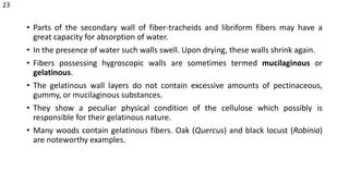 • Parts of the secondary wall of fiber-tracheids and libriform fibers may have a
great capacity for absorption of water.
• In the presence of water such walls swell. Upon drying, these walls shrink again.
• Fibers possessing hygroscopic walls are sometimes termed mucilaginous or
gelatinous.
• The gelatinous wall layers do not contain excessive amounts of pectinaceous,
gummy, or mucilaginous substances.
• They show a peculiar physical condition of the cellulose which possibly is
responsible for their gelatinous nature.
• Many woods contain gelatinous fibers. Oak (Quercus) and black locust (Robinia)
are noteworthy examples.
23
 