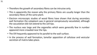 • Therefore the growth of secondary fibres can be intrusive only.
• This is apparently the reason why the primary fibres are usually longer than the
secondary fibres of the same plant.
• Electron microscopic studies of wood fibres have shown that during secondary
wall formation the cytoplasm was in general conspicuously vacuolated, although
the vacuolation did not extend to the cell tips.
• The nucleus was large and the organelles which were generally few in number
appeared more crowded near the tips.
• The ER frequently appeared to lie parallel to the wall surface.
• In the process of wall formation, lamellar apposition of cellulose and vesicular
secretion of matrix takes place.
31
 