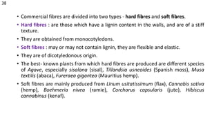 • Commercial fibres are divided into two types - hard fibres and soft fibres.
• Hard fibres : are those which have a lignin content in the walls, and are of a stiff
texture.
• They are obtained from monocotyledons.
• Soft fibres : may or may not contain lignin, they are flexible and elastic.
• They are of dicotyledonous origin.
• The best- known plants from which hard fibres are produced are different species
of Agave, especially sisalana (sisal), Tillandsia usneoides (Spanish moss), Musa
textilis (abaca), Fureraea gigantea (Mauritius hemp).
• Soft fibres are mainly produced from Linum usitatissimum (flax), Cannabis sativa
(hemp), Boehmeria nivea (ramie), Corchorus capsularis (jute), Hibiscus
cannabinus (kenaf).
38
 