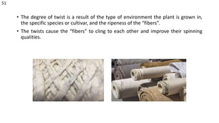 • The degree of twist is a result of the type of environment the plant is grown in,
the specific species or cultivar, and the ripeness of the “fibers”.
• The twists cause the “fibers” to cling to each other and improve their spinning
qualities.
51
 