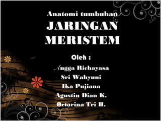 Anatomi tumbuhan
JARINGAN
MERISTEM
Oleh :
Angga Richayasa
Sri Wahyuni
Ika Pujiana
Agustin Dian K.
Octarina Tri H.
 