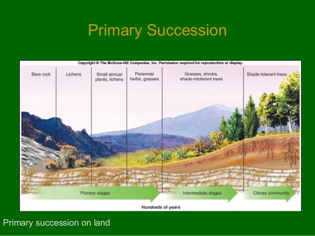 Plant and animal abodes lecture 4