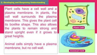 Plant and Animal Cell grade 7 lesson proper | PPTX