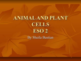 ANIMALAND PLANTANIMALAND PLANT
CELLSCELLS
ESO 2ESO 2
By Sheila BastianBy Sheila Bastian
 