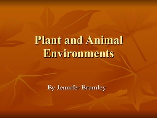 Plant and Animal Environments By Jennifer Brumley 