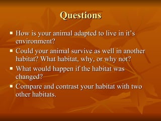 Questions How is your animal adapted to live in it’s environment? Could your animal survive as well in another habitat? What habitat, why, or why not? What would happen if the habitat was changed? Compare and contrast your habitat with two other habitats. 