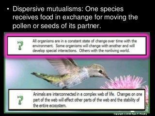 • Dispersive mutualisms: One species
receives food in exchange for moving the
pollen or seeds of its partner.
Copyright © 2010 Ryan P. Murphy
 