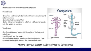 Plant and Animal Nervous System in education biology | PPTX