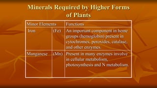 Plant and Animal Nutrition.pptx