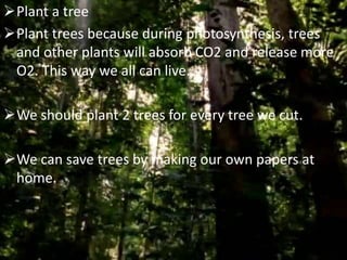 Plant a tree
Plant trees because during photosynthesis, trees
and other plants will absorb CO2 and release more
O2. This way we all can live.
We should plant 2 trees for every tree we cut.
We can save trees by making our own papers at
home.
 