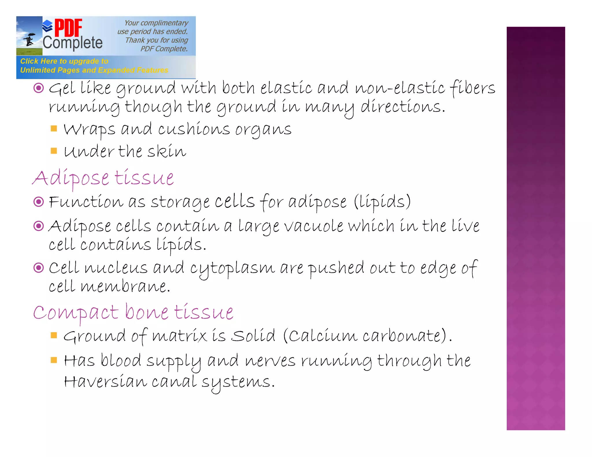 Plant and animal tissue ppt | PDF
