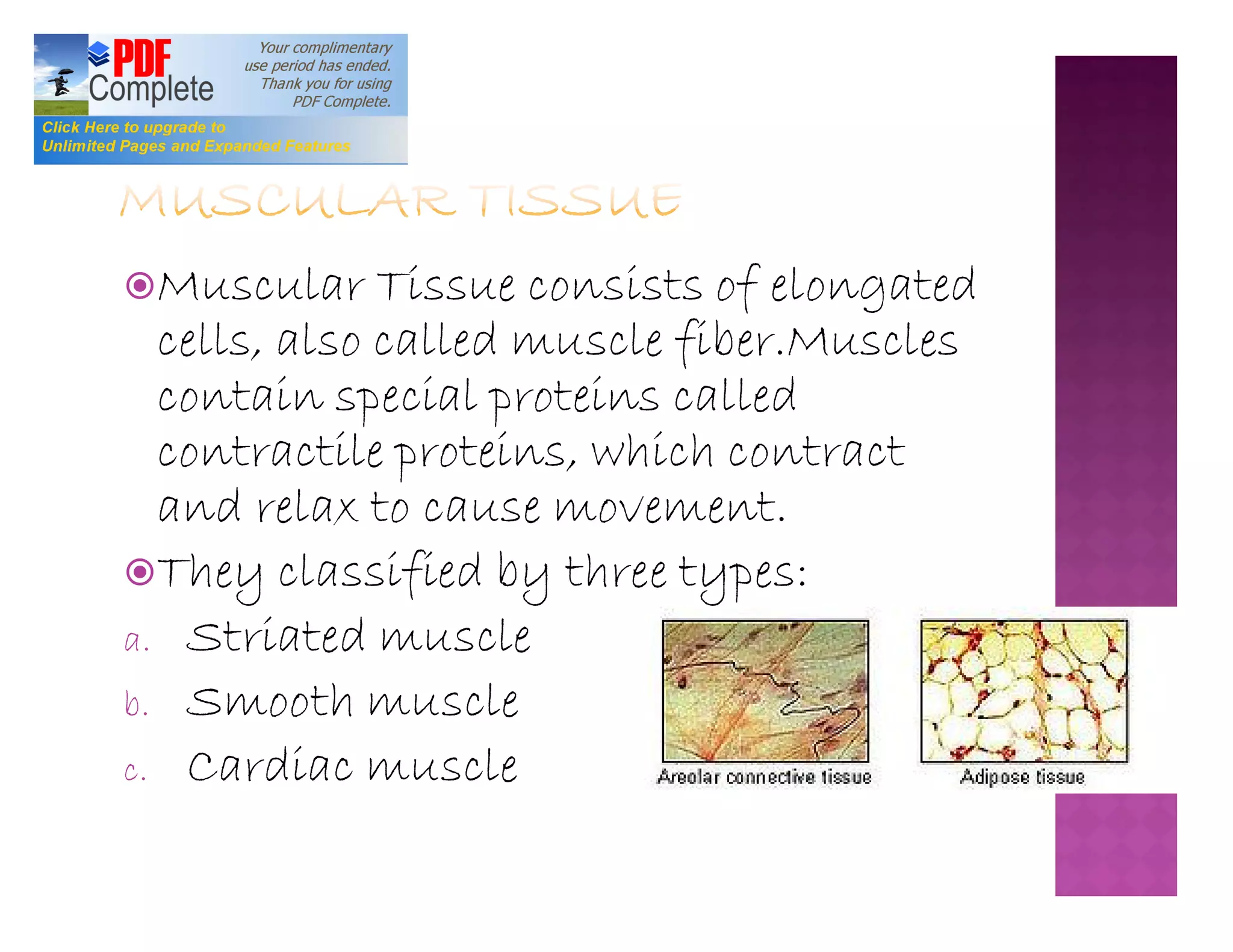 Plant and animal tissue ppt | PDF