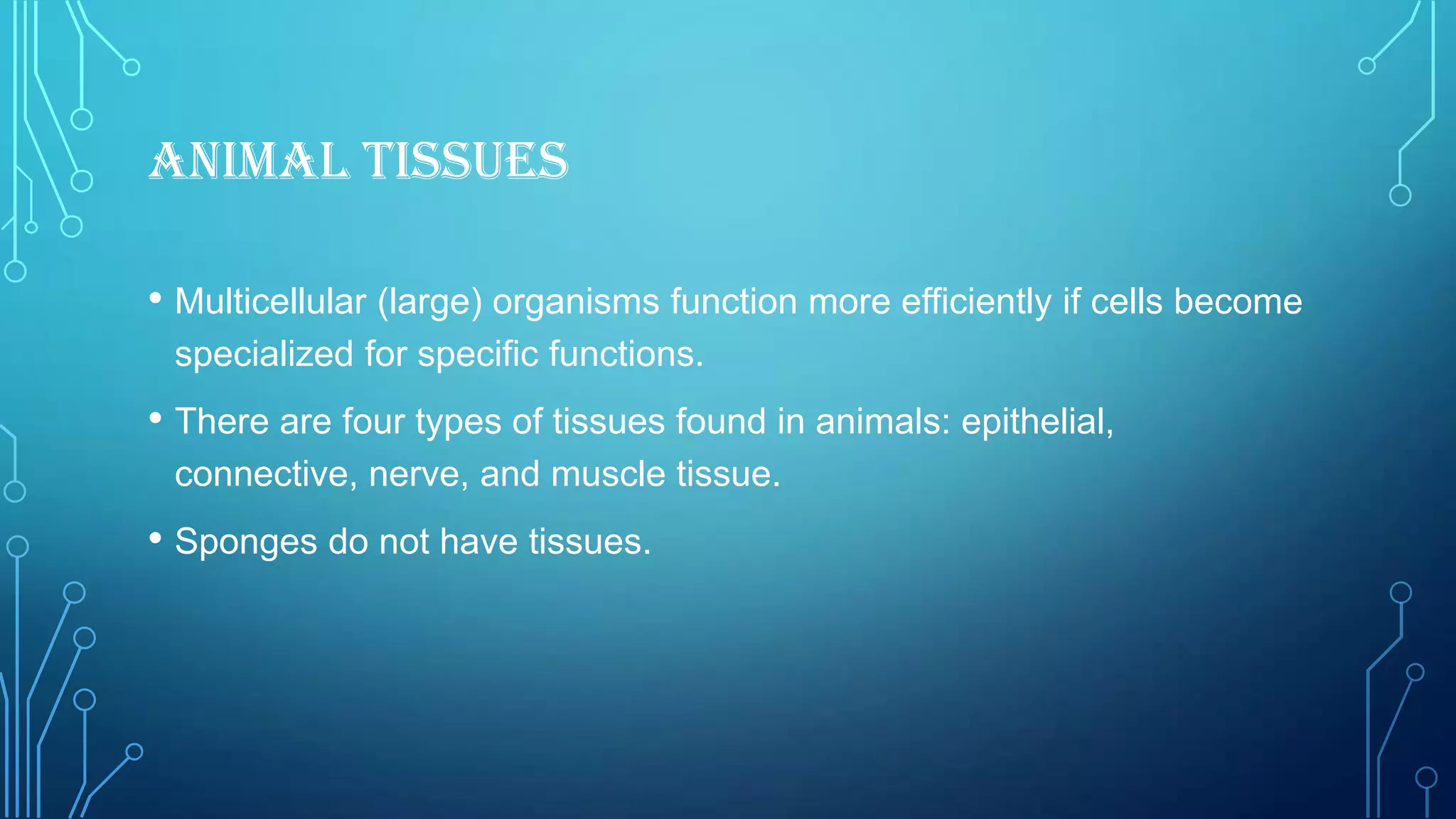 Plant and animal tissues | PPTX