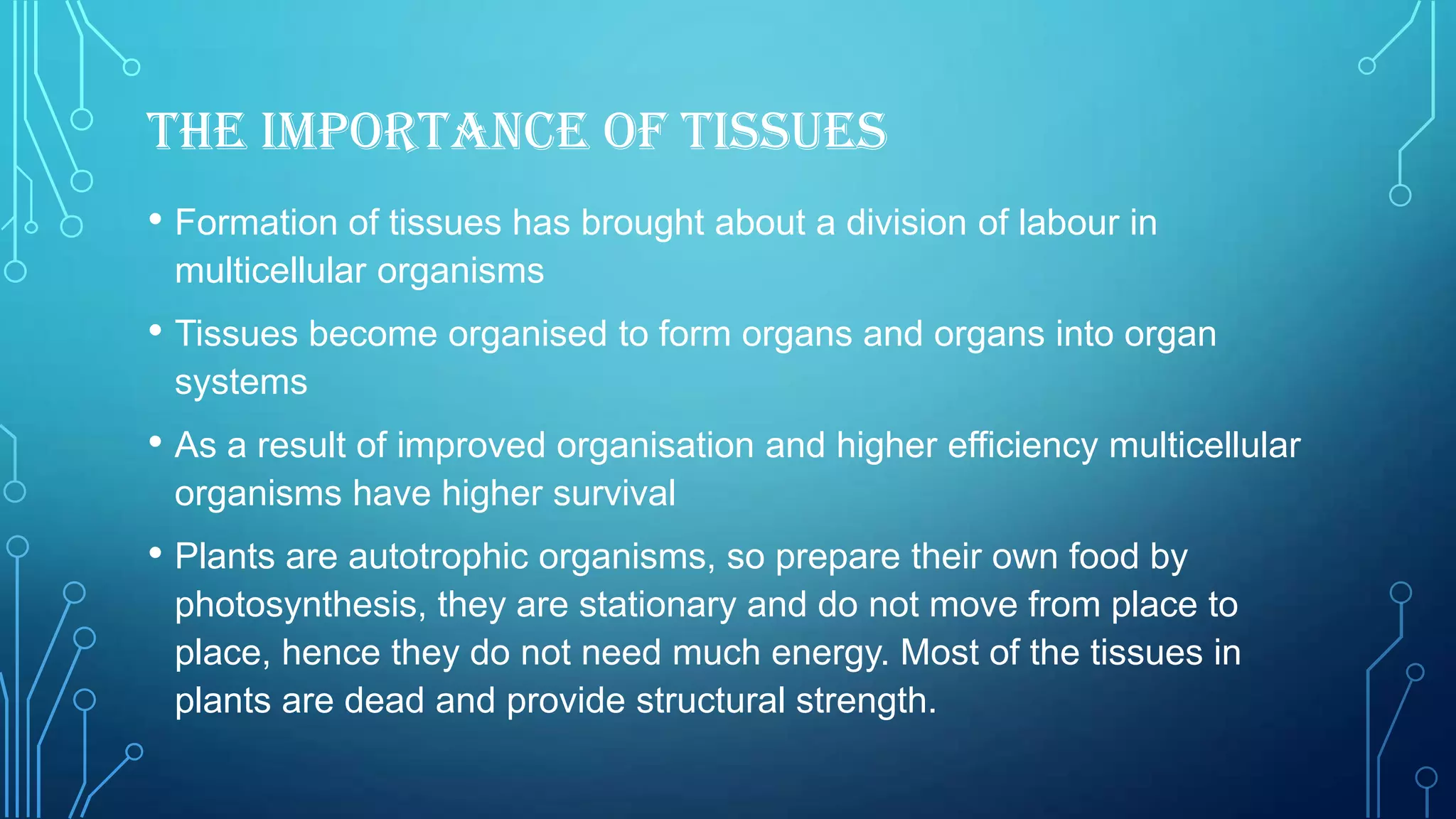 Plant and animal tissues | PPTX