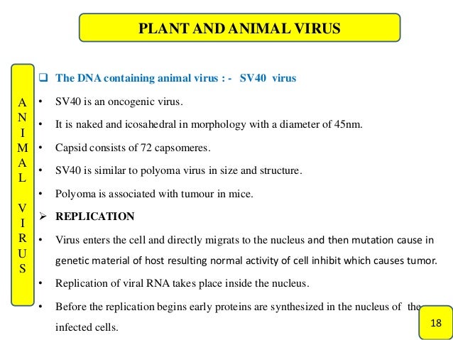 Plant and animal viruse