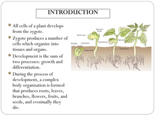 Plant and growth development in agronomy | PPT