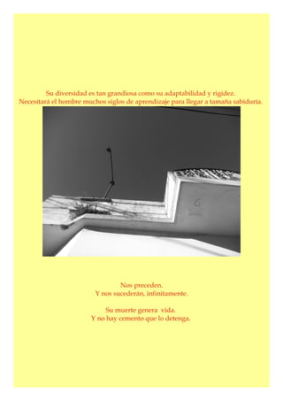 Su diversidad es tan grandiosa como su adaptabilidad y rigidez.
Necesitará el hombre muchos siglos de aprendizaje para llegar a tamaña sabiduría.
Nos preceden.
Y nos sucederán, infinitamente.
Su muerte genera vida.
Y no hay cemento que lo detenga.
 