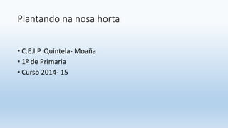 Plantando na nosa horta
• C.E.I.P. Quintela- Moaña
• 1º de Primaria
• Curso 2014- 15
 