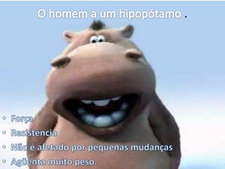 O homem a um hipopótamo .ForçaResistênciaNão é afetado por pequenas mudançasAgüenta muito peso.