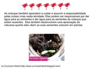 As crianças também aprendem a cuidar e assumir a responsabilidade pelas coisas vivas nesta atividade. Eles podem ser responsáveis ​​por dar água para as sementes e dar água para as sementes de crianças que estam ausentes.  Eles também desenvolvem uma apreciação da natureza quanto eles vêem as suas sementes crescem em plantas. (c) Curriculo Infantil (http://www.curriculoinfantil.blogspot.com) 