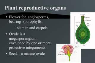 Plant And Structures | PPT