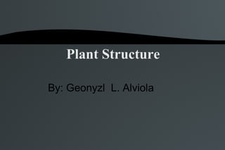 Plant Structure By: Geonyzl  L. Alviola 