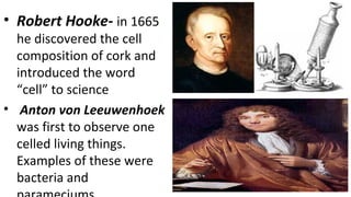 • Robert Hooke- in 1665
he discovered the cell
composition of cork and
introduced the word
“cell” to science
• Anton von Leeuwenhoek
was first to observe one
celled living things.
Examples of these were
bacteria and
 