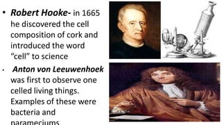 • Robert Hooke- in 1665
he discovered the cell
composition of cork and
introduced the word
“cell” to science
• Anton von L...