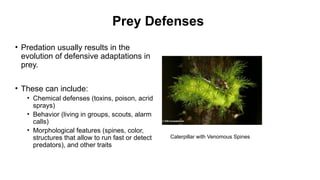 Exploring Plant-Animal Interactions: Mutualism, Predation, and ...