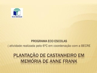 PLANTAÇÃO DE CASTANHEIRO EM
MEMÓRIA DE ANNE FRANK
PROGRAMA ECO ESCOLAS
( atividade realizada pelo 6ºC em coordenação com a BECRE
 