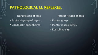 Plantar, babinski | PPTX