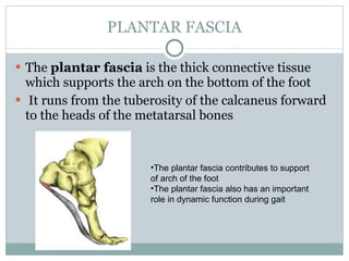 Plantar fasciitis PPT