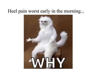 Heel pain worst early in the morning...
 
