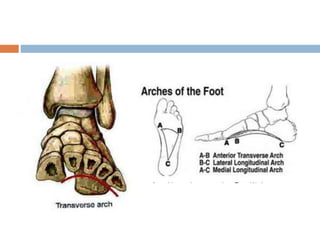 Foot Plantar Keratosis