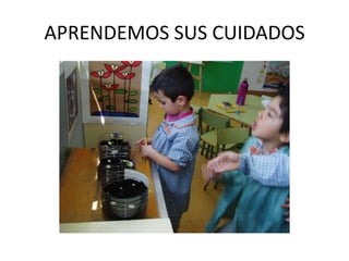 APRENDEMOS SUS CUIDADOS
 