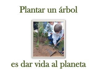Plantar un árbol<br />es dar vida al planeta<br />