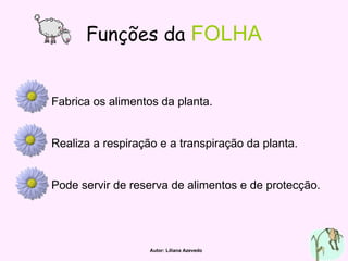 Funções da   FOLHA Fabrica os alimentos da planta. Realiza a respiração e a transpiração da planta. Pode servir de reserva de alimentos e de protecção. Autor: Liliana Azevedo 