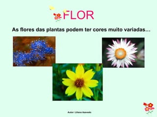 FLOR As flores das plantas podem ter cores muito variadas…   Autor: Liliana Azevedo 