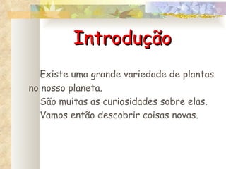 Introdução Existe uma grande variedade de plantas no nosso planeta.  São muitas as curiosidades sobre elas. Vamos então descobrir coisas novas. 