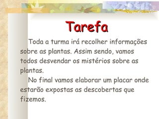 Tarefa Toda a turma irá recolher informações sobre as plantas. Assim sendo, vamos todos desvendar os mistérios sobre as plantas. No final vamos elaborar um placar onde estarão expostas as descobertas que fizemos. 